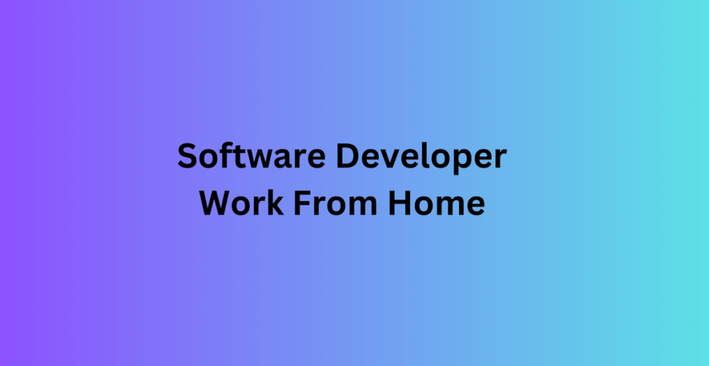 Software Developer